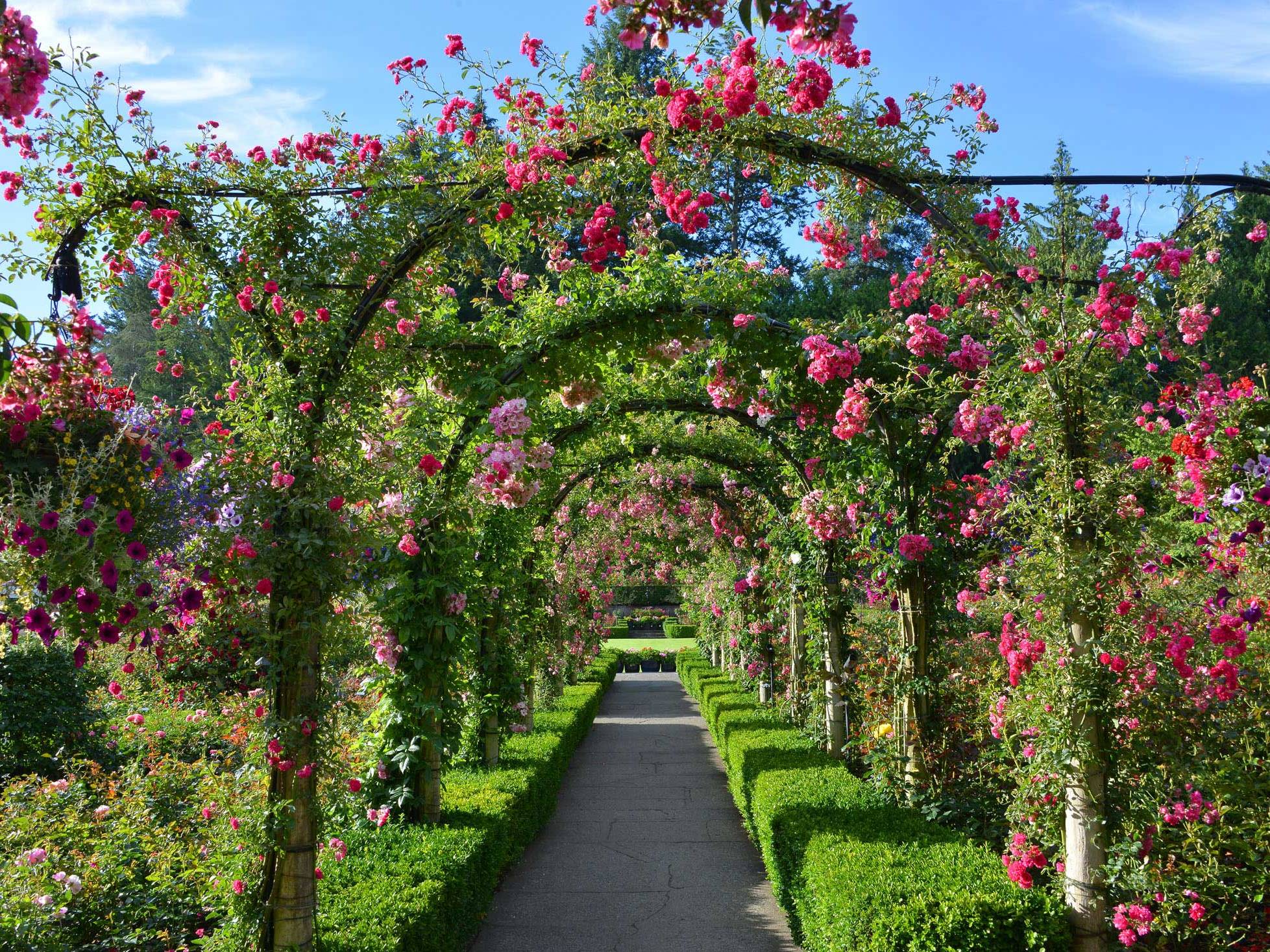 Gray Line Vancouver (2026) - All You Need to Know BEFORE You Go (with  Reviews), image size:1957x1468